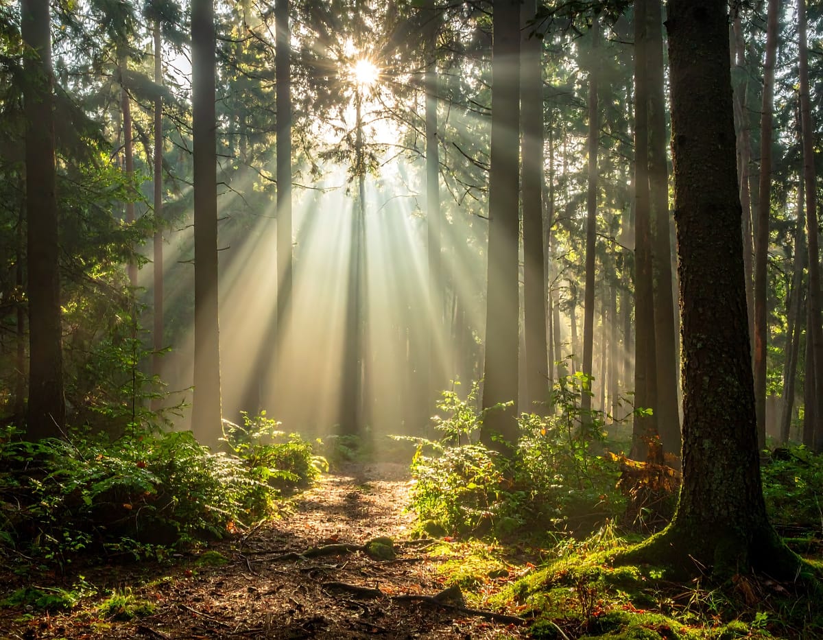 Friction and the Moral Muscle