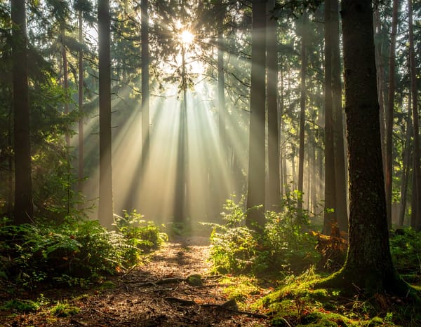 Friction and the Moral Muscle